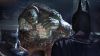 Batman Arkham Asylum - 30